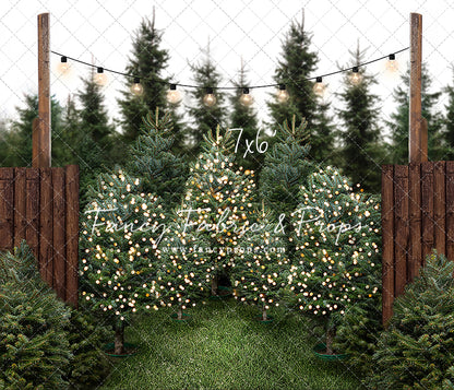 Cut & Carry Tree Farm