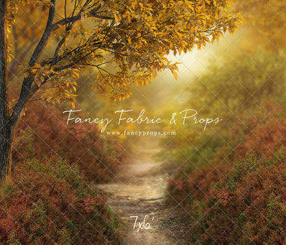 Dreamy Evening Path - With Sweep Option