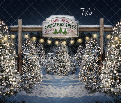 Evening Snowy Tree Farm Entrance