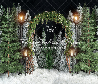 Evening Tree Farm Stroll