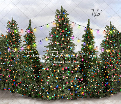 Festive Tree Farm