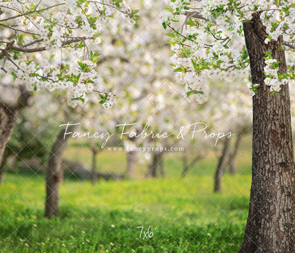 Flowering Forest Trees