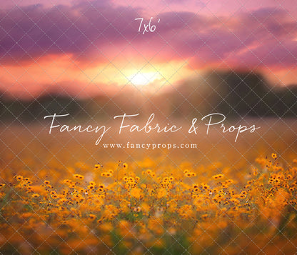 Golden Hour Wildflowers