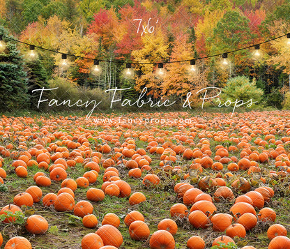 It's Pumpkin Pickin' Time