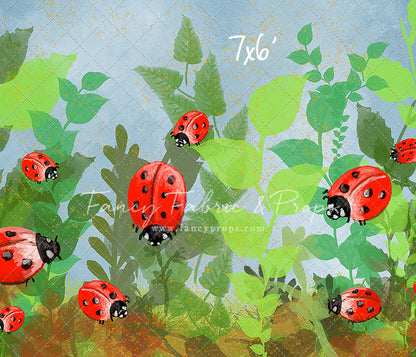 Lady Lovebugs