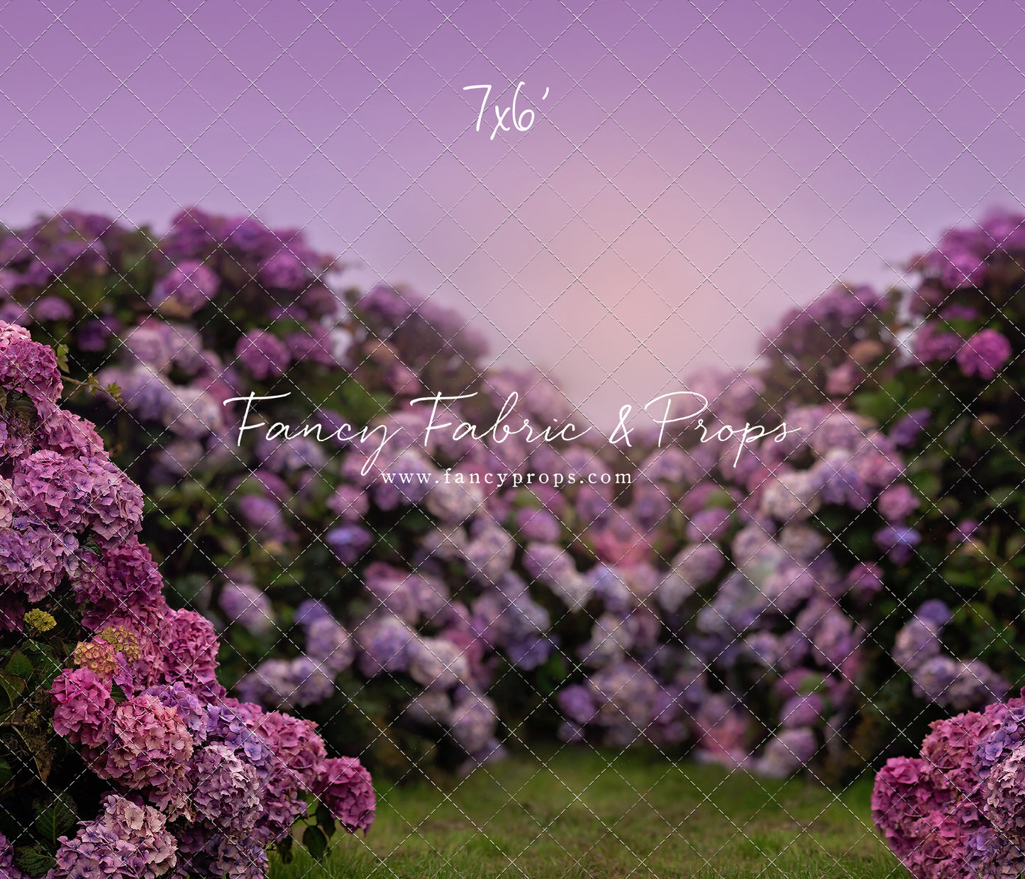 Purple Hydrangea Hollow