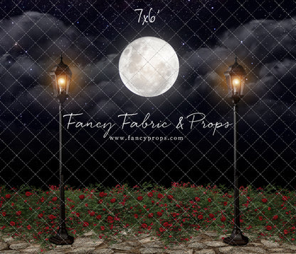 Romantic Moonlit Stroll