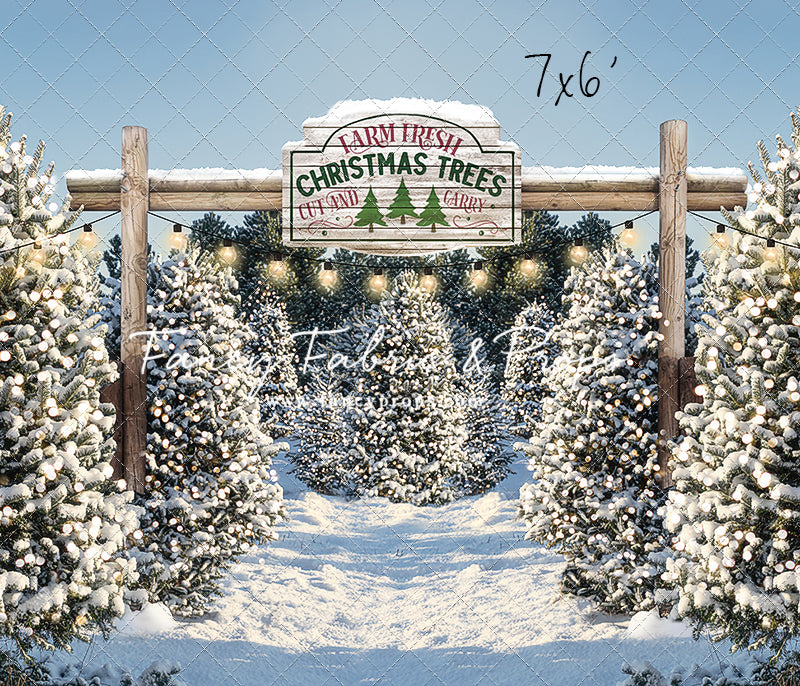 Snowy Winter Tree Farm