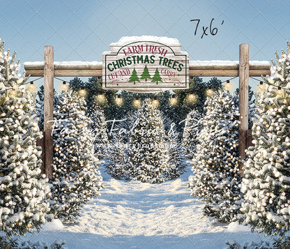 Snowy Winter Tree Farm
