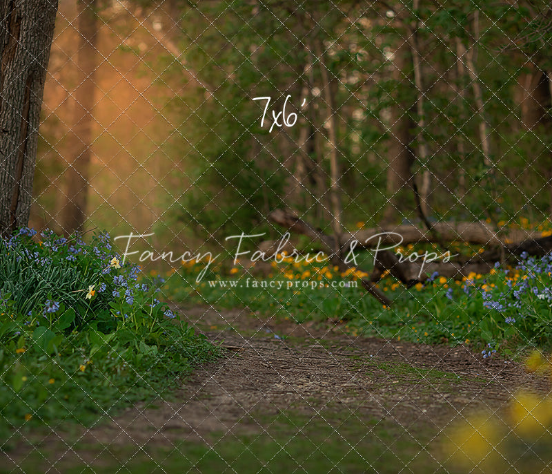 Spring Bluebell Path