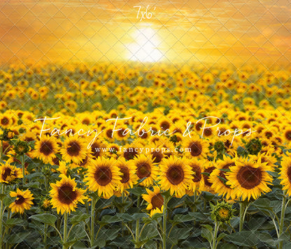 Sunflower Sunset