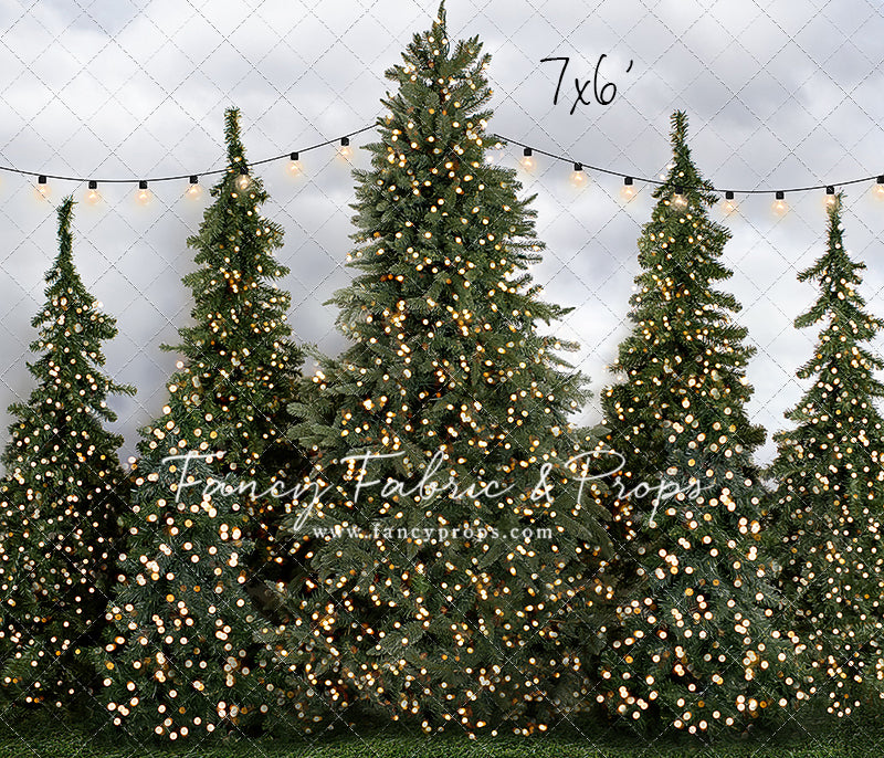 Tree Farm Traditions