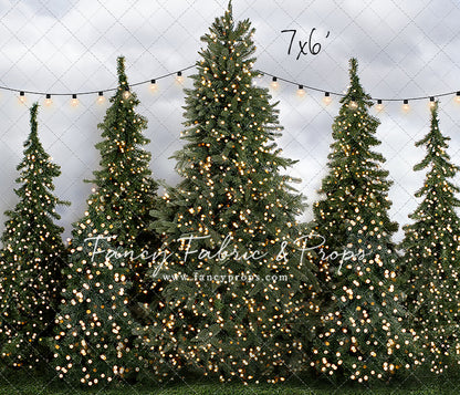 Tree Farm Traditions