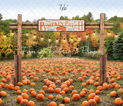 Welcome To The Pumpkin Patch