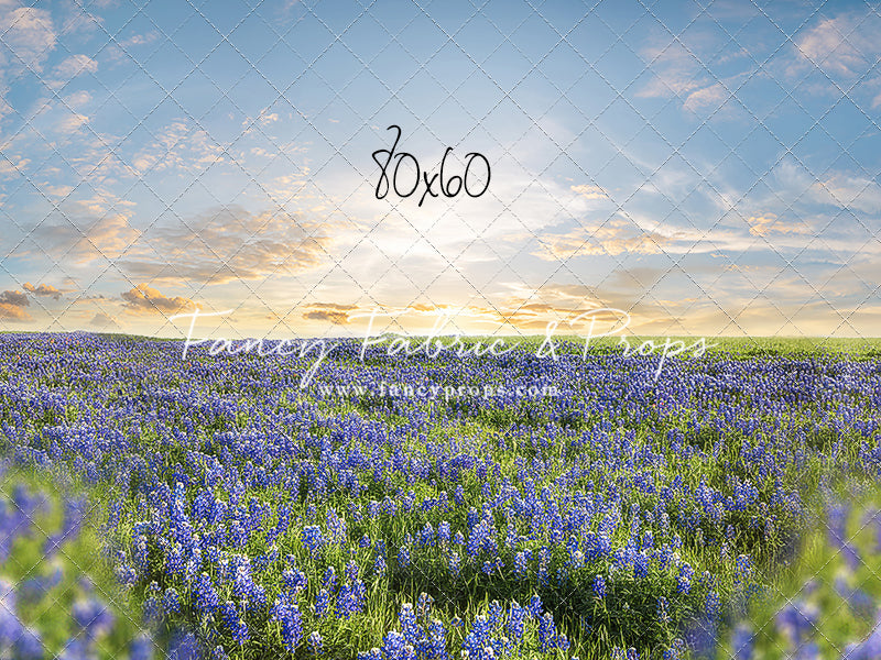 Blue Bonnet Afternoon