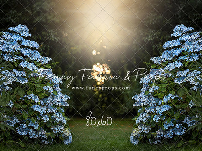Blue Hydrangea Hideaway