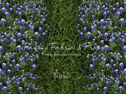Bluebonnet Grass Floor