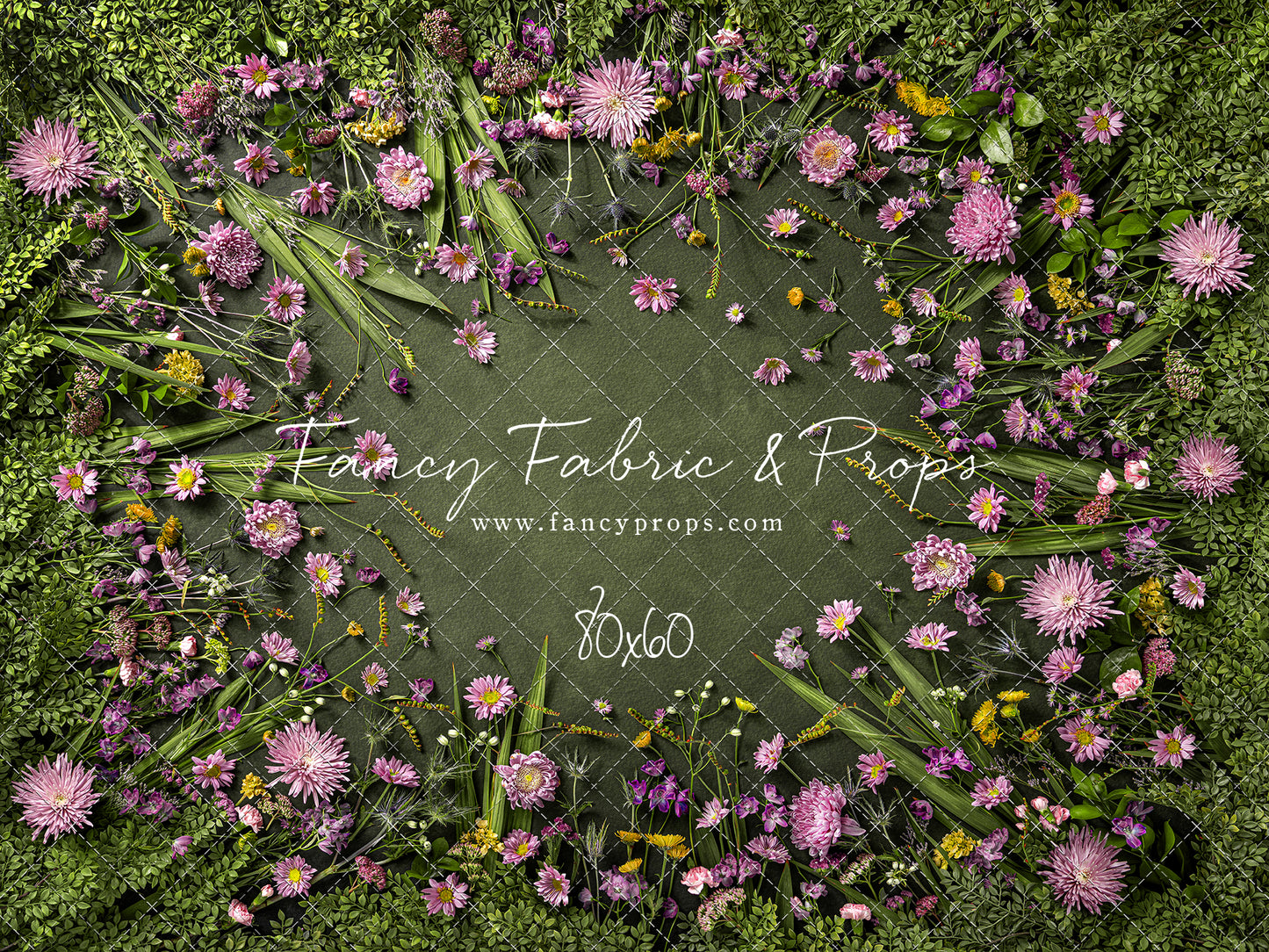 Chrysanthemum Blooms