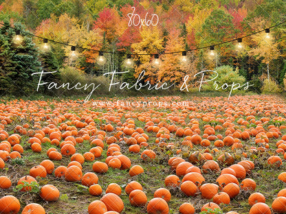 It's Pumpkin Pickin' Time