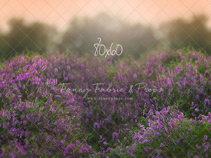 Love In Lavender