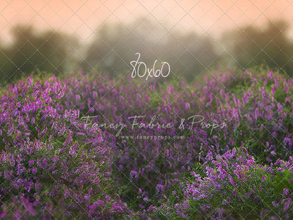 Love In Lavender