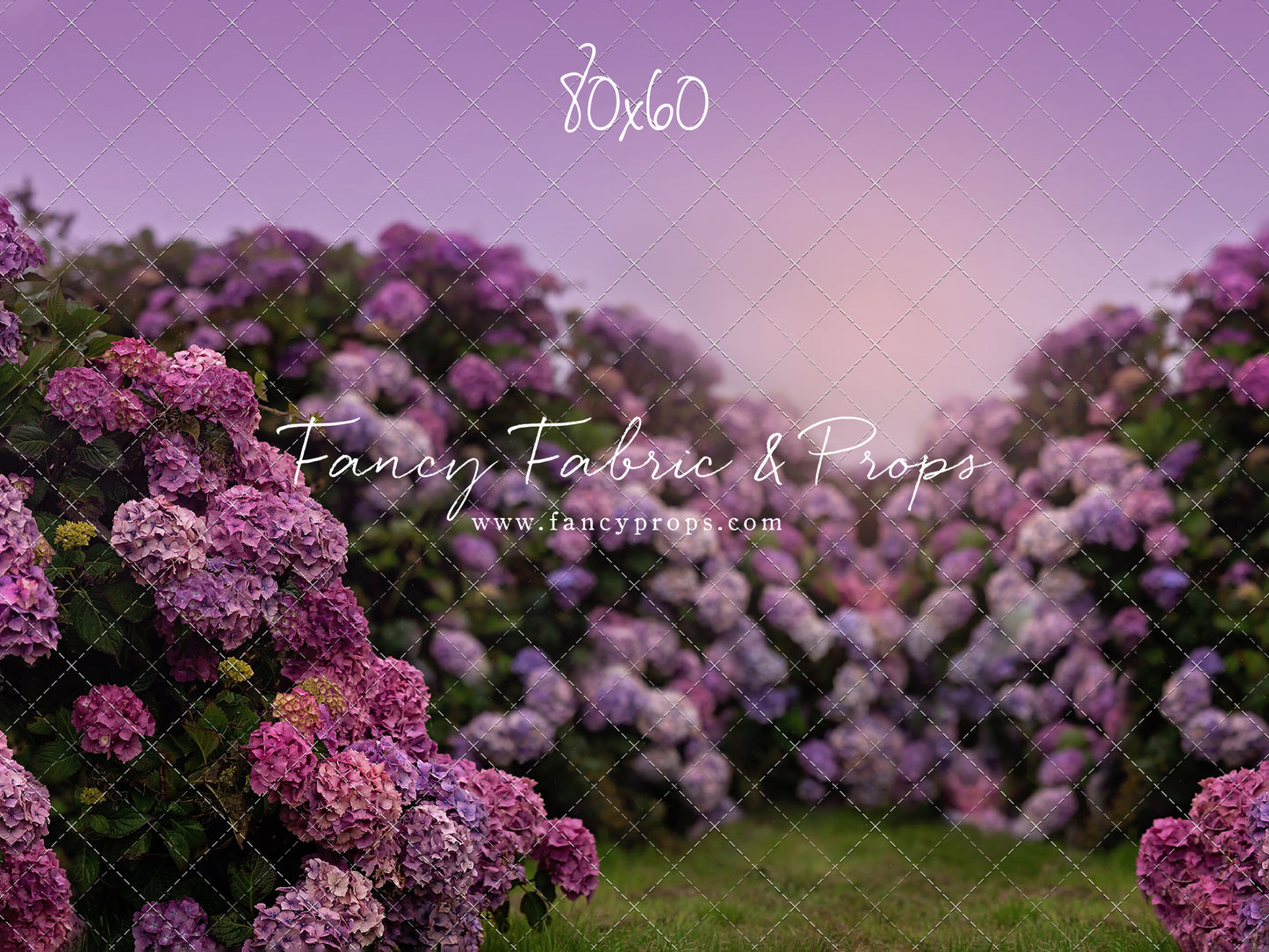 Purple Hydrangea Hollow