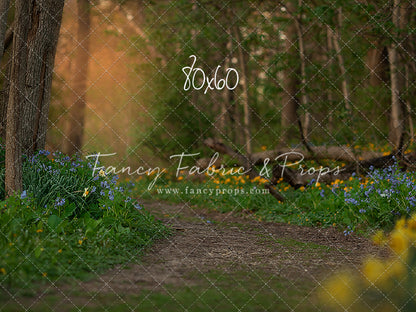 Spring Bluebell Path