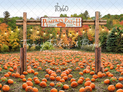 Welcome To The Pumpkin Patch