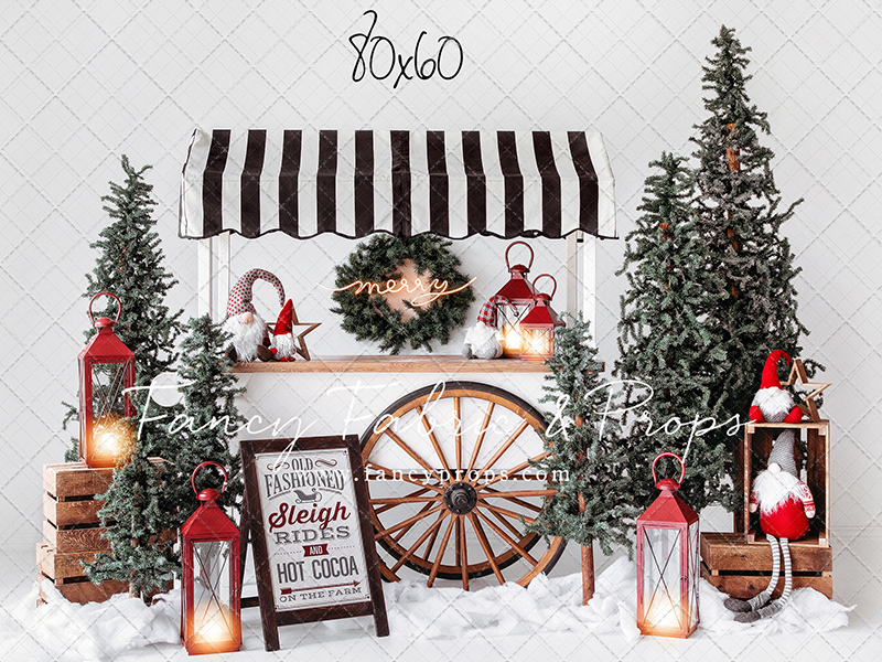 Sleigh Rides For Sale