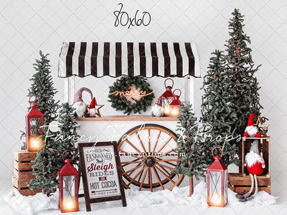 Sleigh Rides For Sale