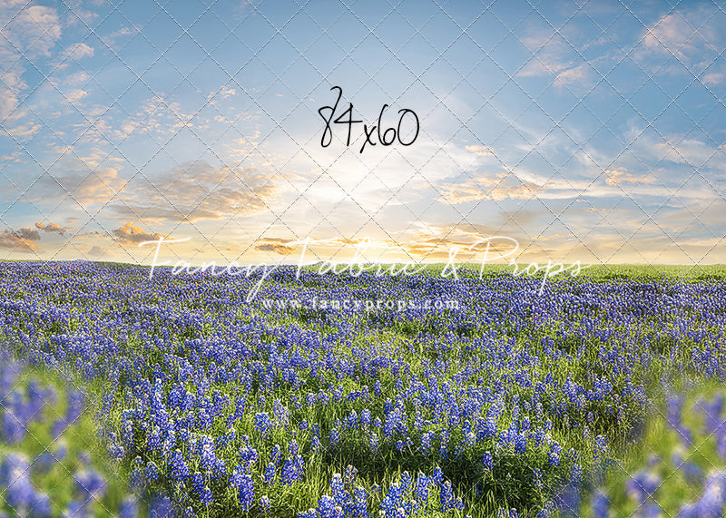 Blue Bonnet Afternoon