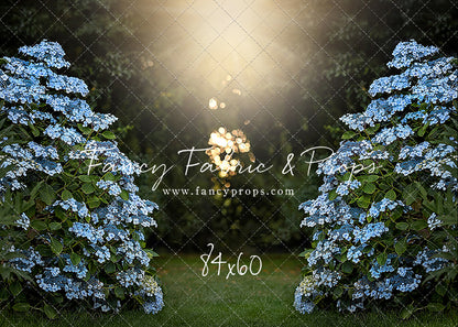 Blue Hydrangea Hideaway