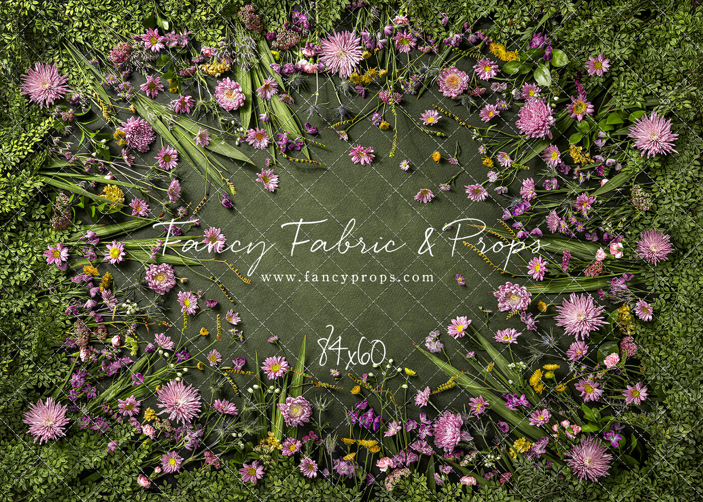 Chrysanthemum Blooms