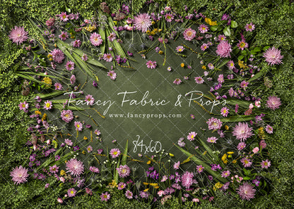 Chrysanthemum Blooms