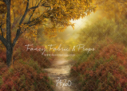 Dreamy Evening Path - With Sweep Option