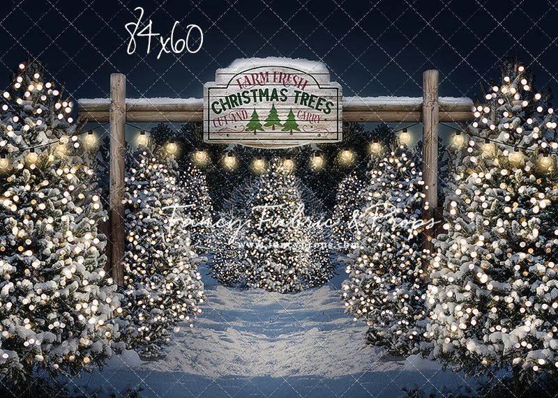 Evening Snowy Tree Farm Mini Room