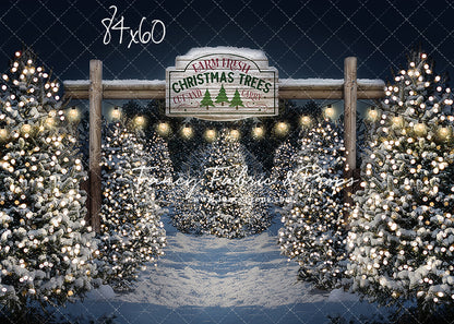 Evening Snowy Tree Farm Mini Room