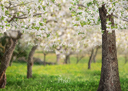 Flowering Forest Trees