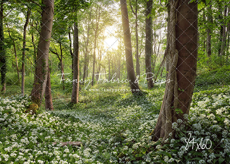 Flowering Forest White Meadow