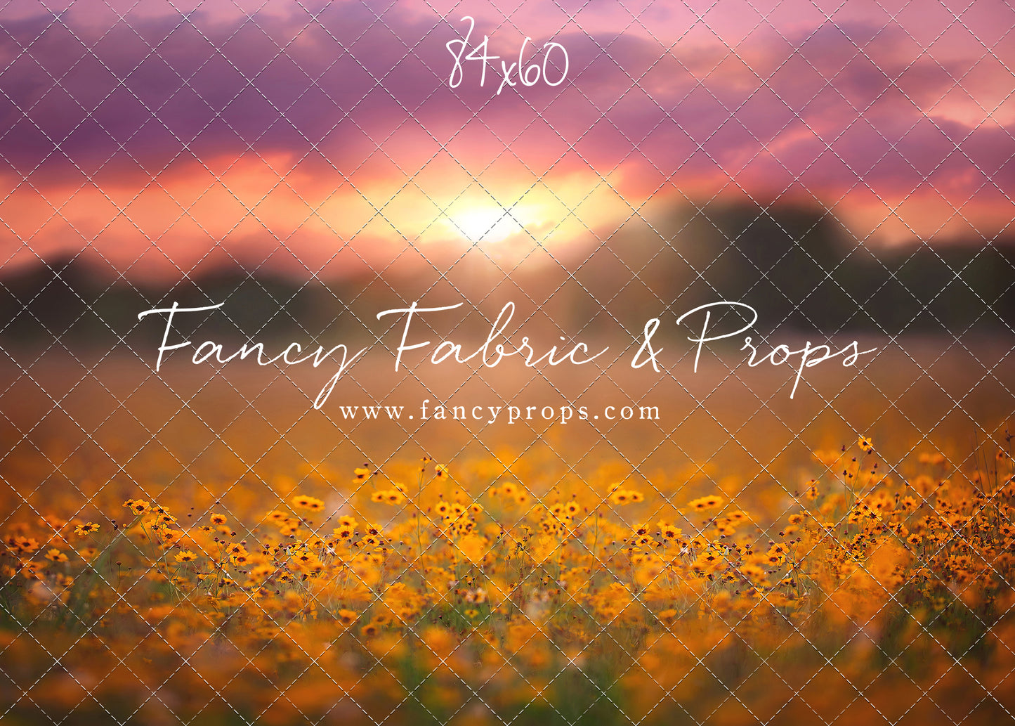 Golden Hour Wildflowers