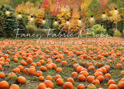 It's Pumpkin Pickin' Time