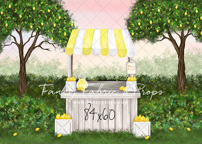 Little Lemonade Stand
