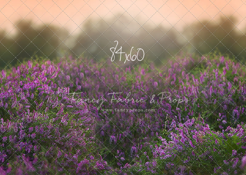 Love In Lavender
