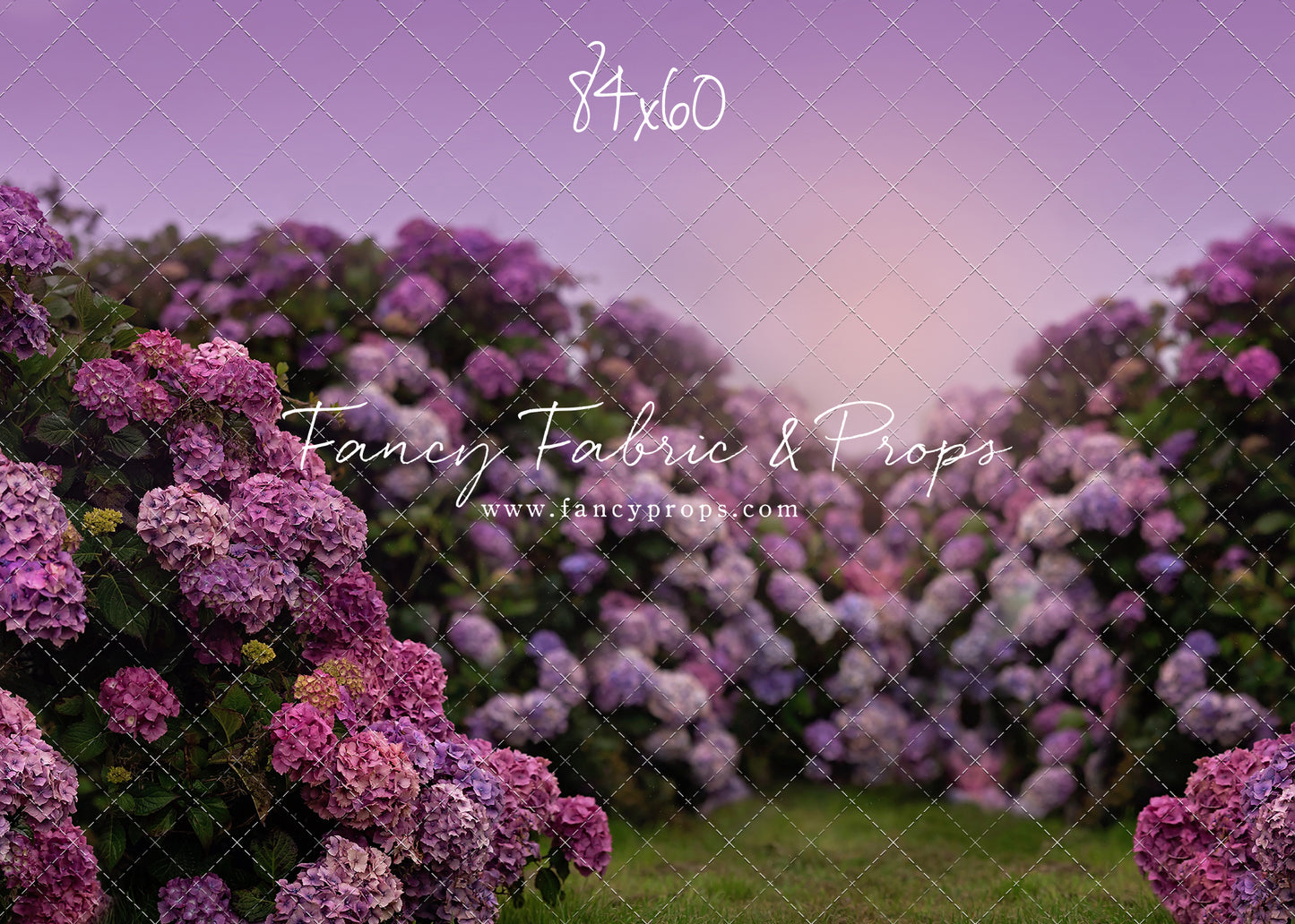 Purple Hydrangea Hollow