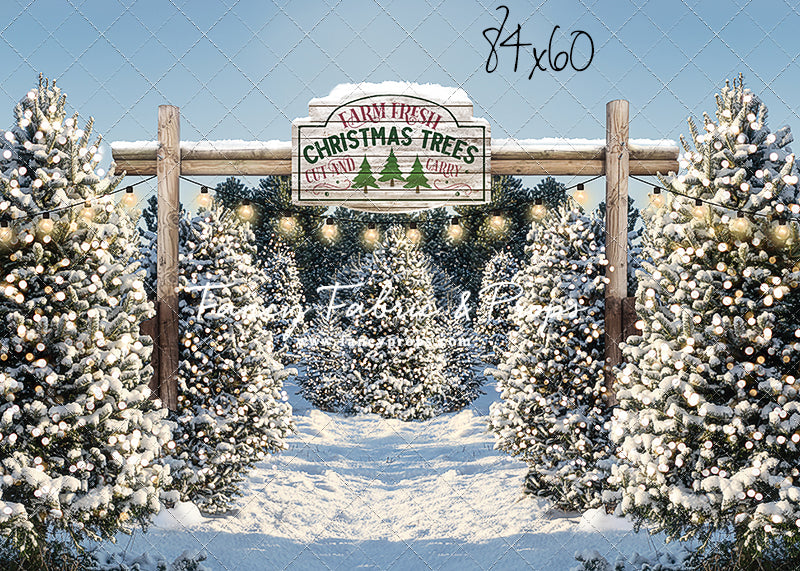 Winter Tree Farm Day Mini Room