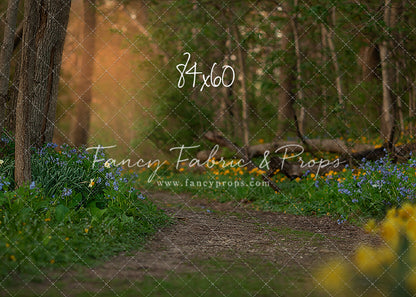 Spring Bluebell Path