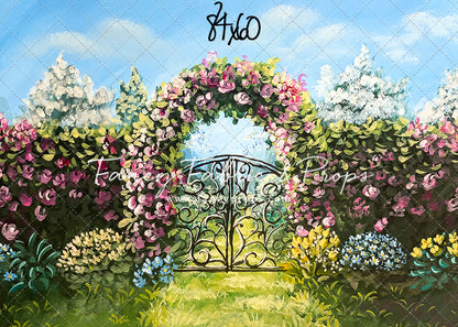 Through The Iron Gates