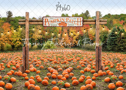 It's Pumpkin Pickin' Time Mini Room