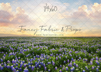 Blue Bonnet Sunrise - With Sweep Option