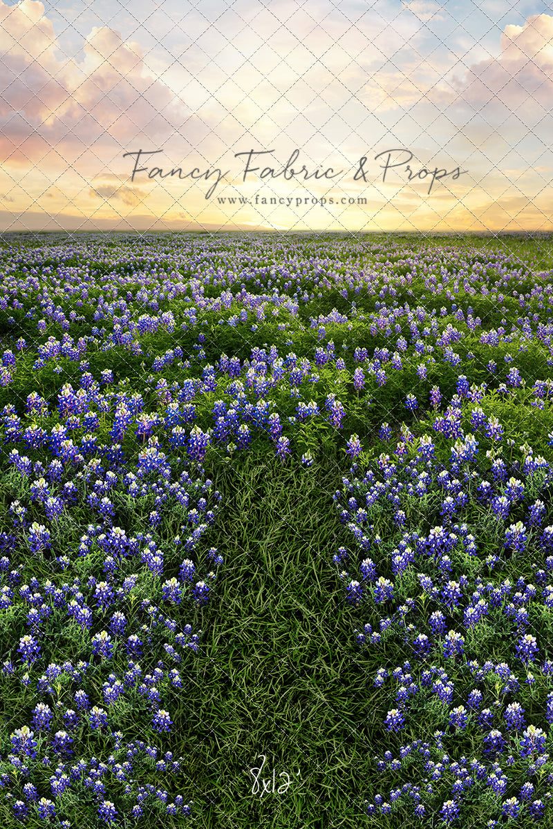 Blue Bonnet Sunrise - With Sweep Option